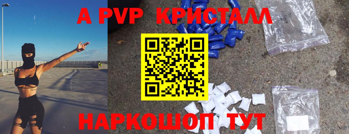 APVP СК Волхов