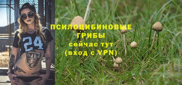 дмт Алексин