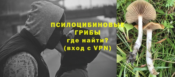 мескалин Алексеевка