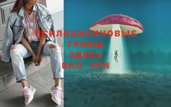 мескалин Алексеевка